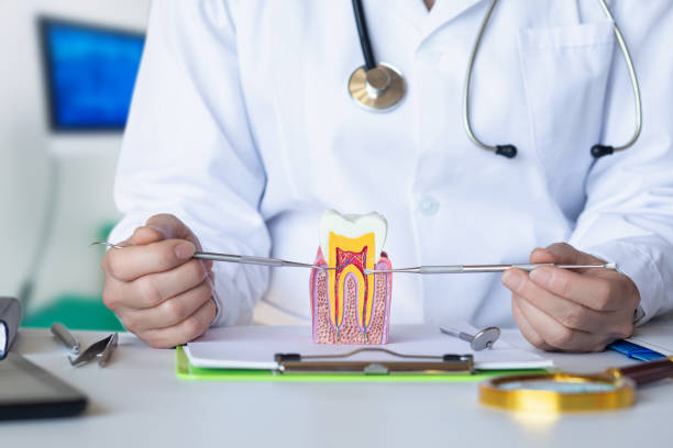 Best Emergency Dentist for Lost Fillings or Crowns in Soh Ogden, UT